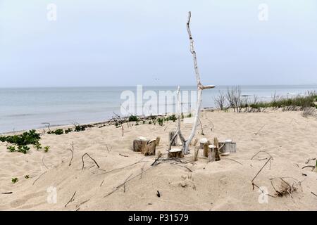 Logs posto intorno ad un magazzino nella sabbia al Cape Cod National Seashore, Massachusetts, STATI UNITI D'AMERICA Foto Stock