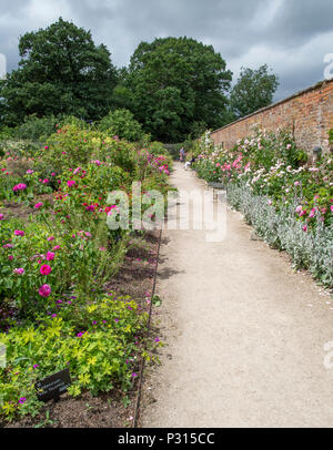 Viste di Dunham Massey proprietà del National Trust e giardini vicino Altrincham, Cheshire Foto Stock