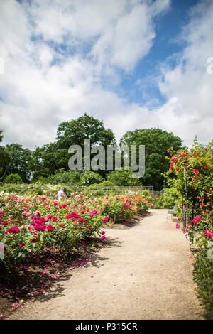 Viste di Dunham Massey proprietà del National Trust e giardini vicino Altrincham, Cheshire Foto Stock