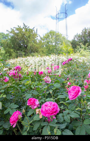 Viste di Dunham Massey proprietà del National Trust e giardini vicino Altrincham, Cheshire Foto Stock