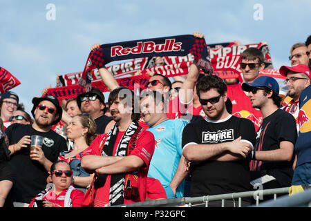 Chester, Pennsylvania, USA. 16 Giugno, 2018. Red Bulls ventilatori durante il pre-partita azione a Talen Energy Stadium di Chester in Pennsylvania Credito: Ricky Fitchett/ZUMA filo/Alamy Live News Foto Stock