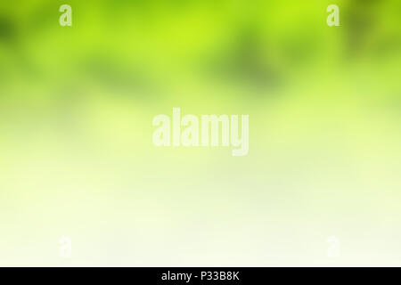 Estate verde sfocato sfondo astratto. Foto Stock