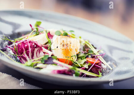 Insalata di verdure con formaggio di capra e decorazione di erbe. Foto Stock