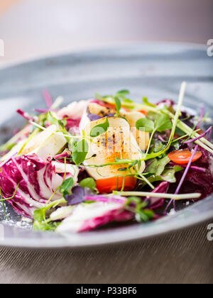 Insalata di verdure con formaggio di capra e decorazione di erbe. Foto Stock