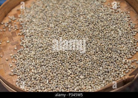 Chicchi verdi di caffè. Master girarrosti arrosto manualmente i chicchi di caffè in un legno-sparò stufa vicino Banyuwangi, Java, Indonesia Foto Stock