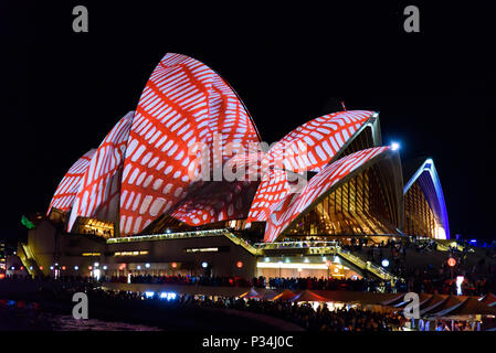 Proiezione di luce di coloratissimi modelli su Sydney Opera House di vivaci festival di Sydney, Nuovo Galles del Sud, Australia Foto Stock