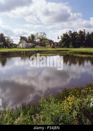 Giugno 1993: Stagno sul villaggio verde, Frampton on severn, Gloucestershire, Regno Unito Foto Stock