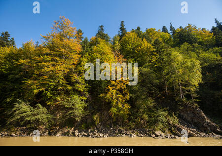 Il fiume Prut e foreste nei Carpazi vicino a Vorokhta, Ucraina Foto Stock