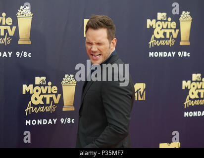 Chris Pratt frequentando il 2018 MTV Movie e TV Awards tenutosi presso la Barker Hangar a Los Angeles, Stati Uniti d'America. Stampa foto di associazione. Picture Data: Sabato 16 Giugno, 2018. Foto di credito dovrebbe leggere: Francesco Specker/PA FILO Foto Stock