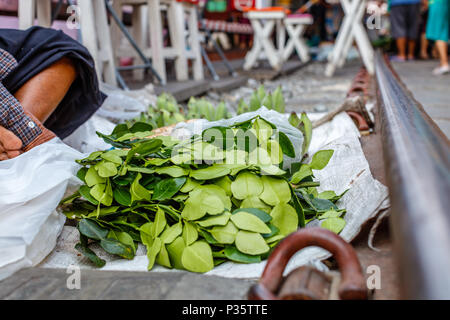 Venditore ambulante vendita di foglie di combava per cottura a Maeklong famoso mercato ferroviario. Samut Songkhram provincia, Thailandia Foto Stock