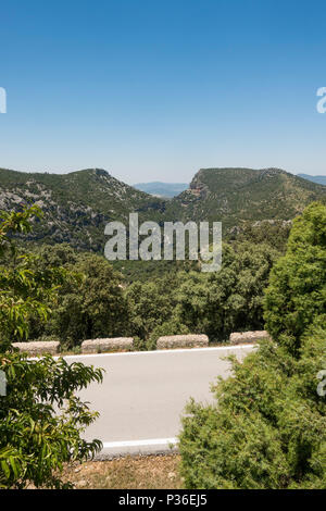 El Pinsapar, Riserva della Biosfera, Sierra de Grazalema, con la Garganta verde in background, Andalusia, Spagna. Foto Stock