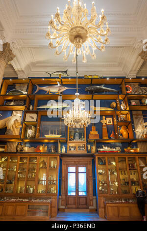 Il Principato di Monaco, scarabattolo nel Museo Oceanografico (Musee oceanographique) delle scienze marine Foto Stock