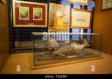 Il Principato di Monaco, mostruosità il pesce con la testa umana e bracci scary creatura in scarabattolo nel Museo Oceanografico (Musee oceanographique) Foto Stock