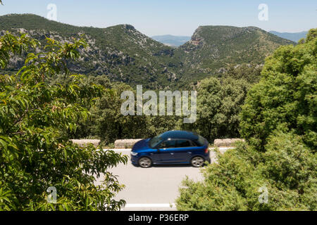 Car guida attraverso, El Pinsapar, Riserva della Biosfera, Sierra de Grazalema, con la Garganta verde in background, Andalusia, Spagna. Foto Stock