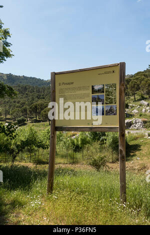 Segno a El Pinsapar, Riserva della Biosfera, Sierra de Grazalema, Cadice. Foto Stock