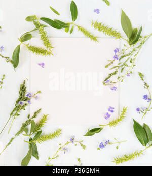White il matrimonio o un album di foto di famiglia, telaio con rami freschi, erbe aromatiche e fiori blu sulla luce sullo sfondo di legno; vista superiore, piana, laici vista aerea Foto Stock