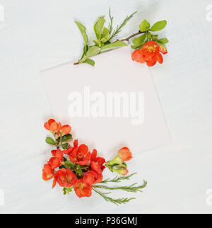 Scrapbook pagina del matrimonio o un album di foto di famiglia, telaio con red Chaenomeles japonica fiori e foglie verdi sulla luce sullo sfondo di legno; vista superiore, f Foto Stock