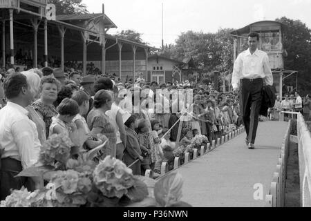 A Dresda, gdr, fashion show dal VVB Confection Berlino nella parte anteriore delle tribune il giorno della fiera Foto Stock