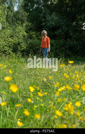 Una donna in una maglietta arancione cammina il suo cane in un parco di Londra contro un campo di renoncules e fiori di colore giallo Foto Stock