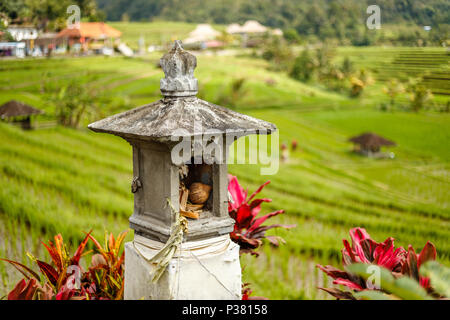 Campo di riso con altare per le offerte di Dewi Sri a Jatiluwih terrazze di riso. Paesaggio rurale. Tabanan, Bali, Indonesia Foto Stock