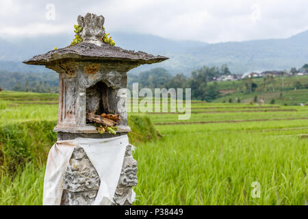 Campo di riso con altare per le offerte di Dewi Sri a Jatiluwih terrazze di riso. Paesaggio rurale. Tabanan, Bali, Indonesia Foto Stock