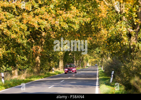 Putbus, Germania, vetture sul Deutsche Alleenstrasse Foto Stock