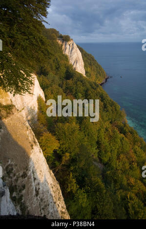 Sassnitz, Germania, serata sole splende su chalk cliffs Foto Stock