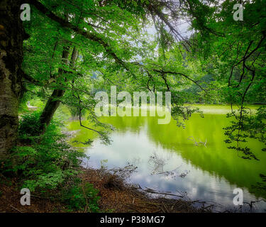 DE - Baviera: Il Schlossweiher sul Kalvarienberg a Lenggries (immagine HDR) Foto Stock