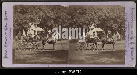 141 cavallo e pullman, da G. S. Tommaso Foto Stock