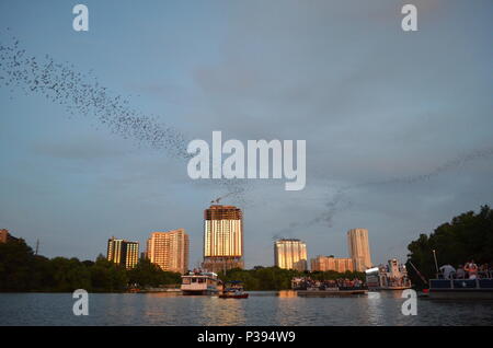 Austin, Texas, Stati Uniti d'America. 17 Giugno, 2018. La gente va batty per uno di Austin attrazioni locali. Domenica sera al tramonto, milioni di Messico free-tailed pipistrelli lasciare il loro pesce persico sotto il Congress Avenue Ponte sul Lago Lady Bird nel centro di Austin, Texas per nutrirsi di insetti. Migliaia di spettatori la linea il ponte a guardare lo spettacolo che succede ogni notte da marzo a novembre. La configurazione di volo può essere fino a 2 miglia di alta. Credito: Glenn Ruthven/Alamy Live News Foto Stock