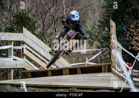 Professional downhill mountain biker Tahnee Seagrave competere nel British National Downhill Series, Cwmcarn, Galles. Foto Stock