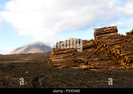 Legname di registrazione Foto Stock