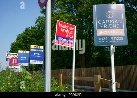 Agente immobiliare che mostra le schede consentono, venduti e sotto speciali Foto Stock