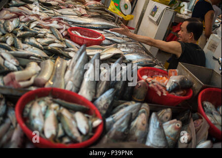 Singapore Repubblica di Singapore, pesce fornitore nel mercato Tekka in Little India Foto Stock