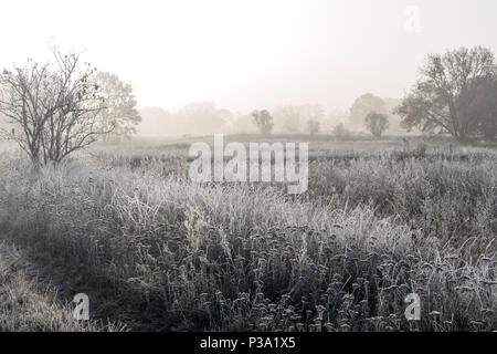 Berlino, Germania, brina e la nebbia oltre la Rieselfeldern Foto Stock