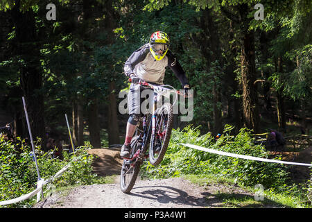 Mountain bike nella Foresta reale di Dean, nel Gloucestershire. MIJ in discesa 2018 Foto Stock