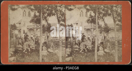 . Lungo ramo. Copertura: 1870?-1890?. Fonte Imprint: Alessandria Bay, N.Y. : Crossman House Studio Fotografico, 1870?-1890?. Elemento digitale pubblicata 10-24-2005; aggiornato 2-11-2009. 172 lungo ramo, di A. C. MCINTYRE Foto Stock