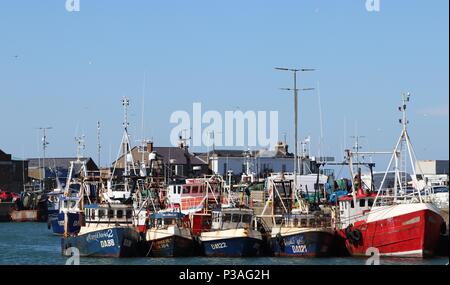 La flotta da pesca ormeggiate nel porto di Howth, Irlanda Foto Stock