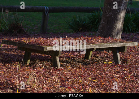 Foglie di autunno Foto Stock