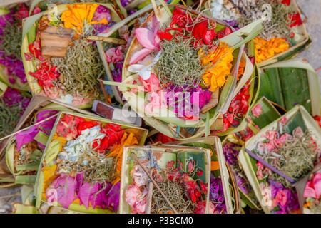 Canang Sari, Indù Balinese che offre. Nusa Lembongan, Indonesia, Foto Stock