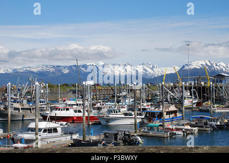 La pesca marina a Homer Spit, Omero, Alaska, STATI UNITI D'AMERICA Foto Stock