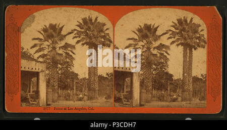 . Palms at Los Angeles, Cal. Titolo alternativo: viste descrittive del continente americano, n. 2077. Creazione: 1878?. Copertura: 1870?-1909?. Elemento digitale pubblicata 6-15-2005; aggiornato 2-12-2009. 228 palmi a Los Angeles, Cal, dal continente società stereoscopica Foto Stock