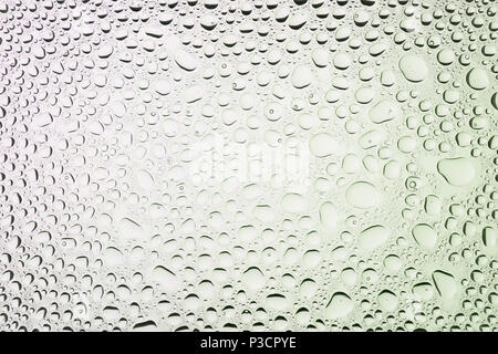 In prossimità di una di gocce di acqua su un gradiente bianco sfondo, coperto con gocce di acqua : la condensazione. Foto Stock