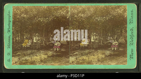 234 persone sedute sulle panchine in un parco di Adams, S. F., 1844-1876 Foto Stock