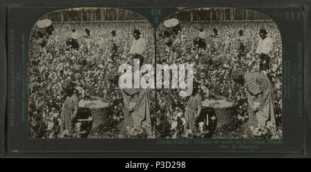. Plantation scena con raccoglitori a lavorare in Georgia. Creato: ca. 1920. Elemento digitale pubblicata 6-30-2005; aggiornato 2-12-2009. 238 Plantation scena con raccoglitori a lavorare in Georgia, da Robert N. Dennis raccolta di vista stereoscopica Foto Stock