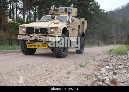 Stati Uniti Soldati dal 731st Transportation Company, Kansas esercito nazionale Guard, ritorno fuoco durante un incidente di Massa evento di formazione a sostegno del Golden Coyote, Custer State Park, S.D., 16 giugno 2018. Il Golden Coyote è un esercizio a tre-fase, scenario di esercizio di condotta condotta in Black Hills del Sud Dakota e Wyoming, quali comandanti permette di concentrarsi sulla missione requisiti essenziali per lo svolgimento delle attività e le attività del guerriero e punte di battaglia. (U.S. Esercito foto di Sgt. Gary Silverman) Foto Stock