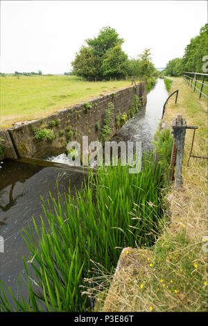 Una sezione del canale di Lancaster e bloccare a Tewitfield serrature della Cumbria/Lancashire confine. Ci sono una serie di blocchi che qui non sono più di noi Foto Stock