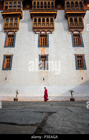 La bellezza di Punakha Dzong è incompleta senza i suoi monaci, drapped in abito rosso. Foto Stock