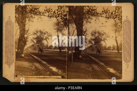 . La Alameda a San Jose, California. Creato: 1868-1885. Copertura: 1868-1885. Elemento digitale pubblicata 6-15-2005; aggiornato 2-12-2009. 300 La Alameda a San Jose, California, da Robert N. Dennis raccolta di vista stereoscopica Foto Stock