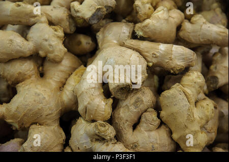 Sfondo di cibo - Zingiber officinale o comunemente conosciuto come lo zenzero Foto Stock